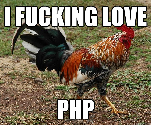 I fucking Love php  