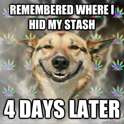remembered where i hid my stash 4 days later  Stoner Dog