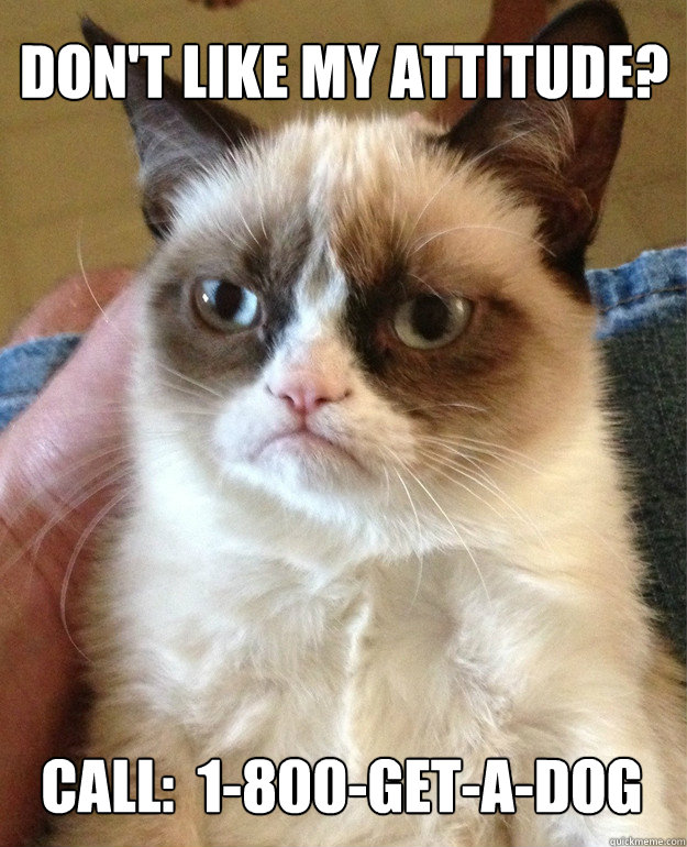 don't like my attitude? call:  1-800-get-a-dog - don't like my attitude? call:  1-800-get-a-dog  Misc