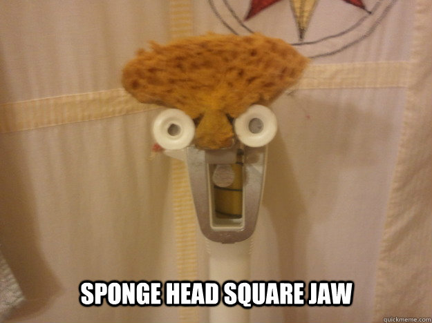 Sponge head square jaw  Sponge Head Square Jaw