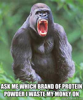 ask me which brand of protein powder I waste my money on  supplement gorilla