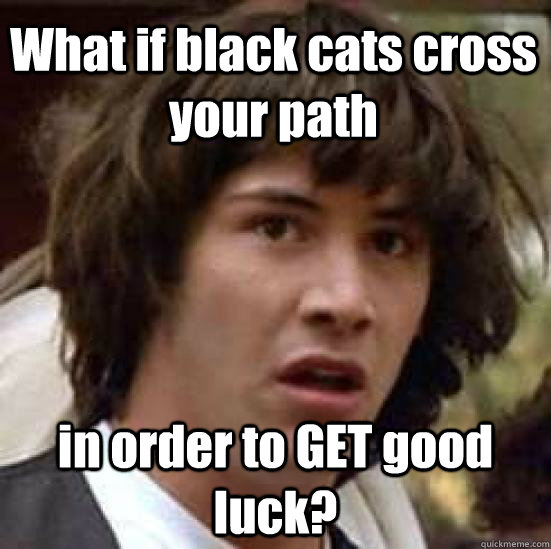 What if black cats cross your path in order to GET good luck?  conspiracy keanu