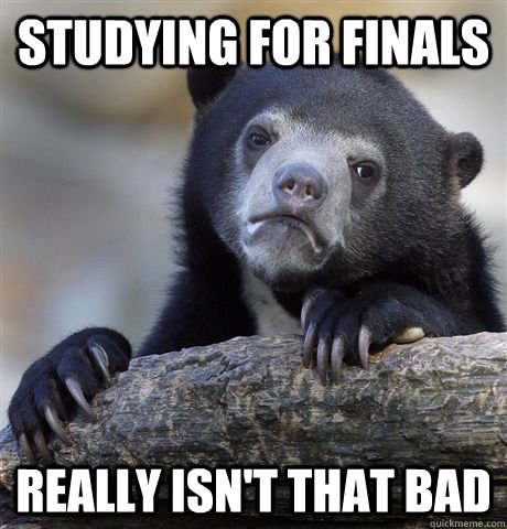 Studying for finals really isn't that bad  Confession Bear