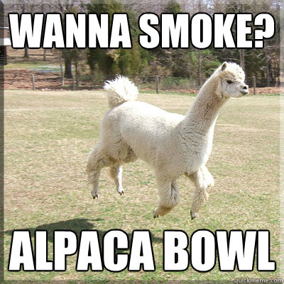 Wanna Smoke? Alpaca bowl   