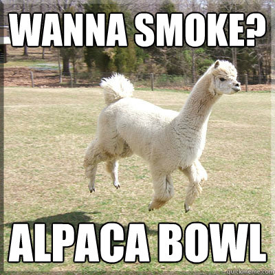 Wanna Smoke? Alpaca bowl  - Wanna Smoke? Alpaca bowl   Alpaca bowl