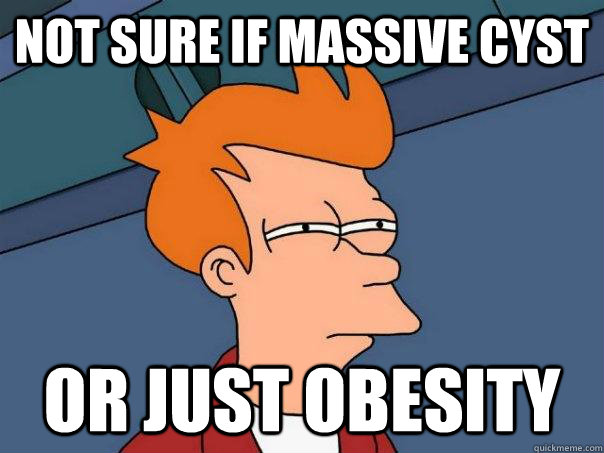 Not sure if massive cyst  Or just obesity  Futurama Fry