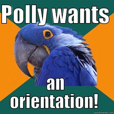 POLLY WANTS  AN ORIENTATION!  Paranoid Parrot