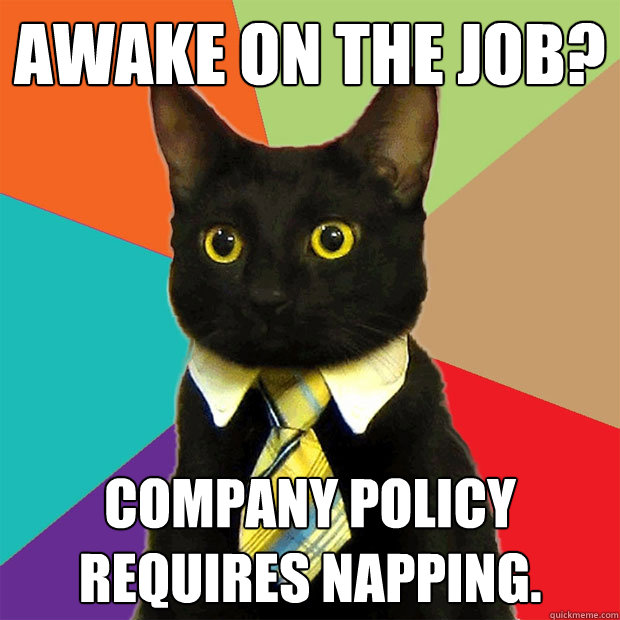 Awake on the job? Company policy requires napping. - Awake on the job? Company policy requires napping.  Business Cat