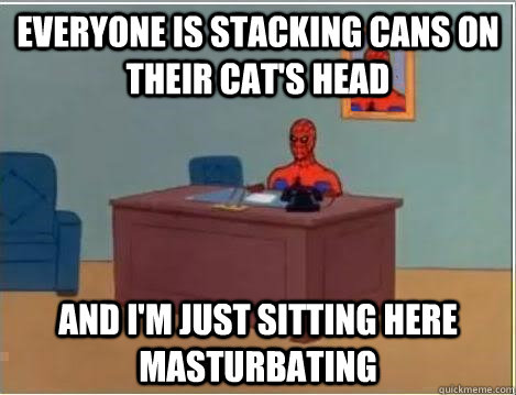 Everyone is stacking cans on their cat's head and I'm just sitting here masturbating  Spiderman Desk