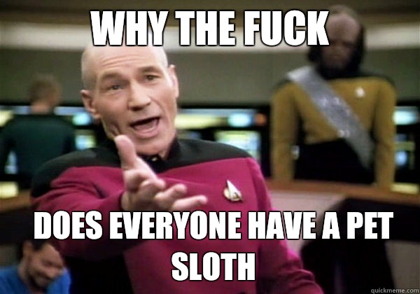 Why the fuck Does everyone have a pet sloth  Patrick Stewart WTF