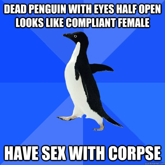 Dead penguin with eyes half open looks like compliant female Have sex with corpse - Dead penguin with eyes half open looks like compliant female Have sex with corpse  Socially Awkward Penguin