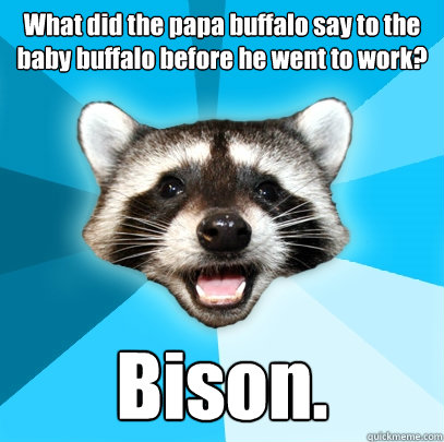 What did the papa buffalo say to the baby buffalo before he went to work?
 Bison. - What did the papa buffalo say to the baby buffalo before he went to work?
 Bison.  Lame Pun Coon