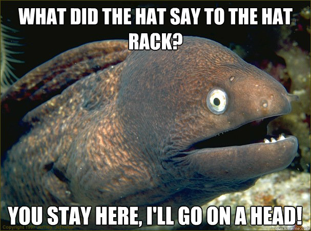 what did the hat say to the hat rack? you stay here, I'll go on a head!  Bad Joke Eel