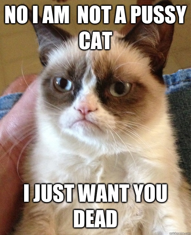 No i am  not a pussy cat I just want you dead  mean cat