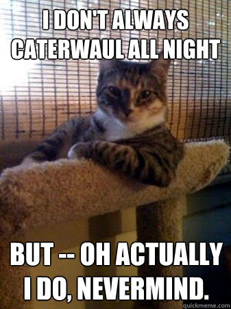 I don't always caterwaul all night but -- oh actually I do, nevermind.    The Most Interesting Cat in the World