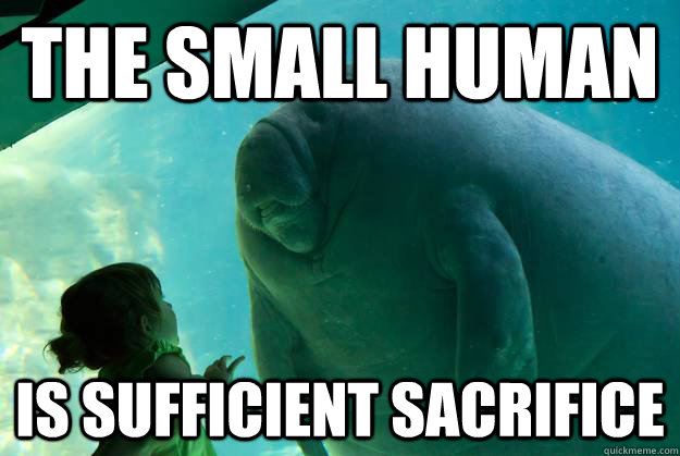 The small human is sufficient sacrifice  Overlord Manatee