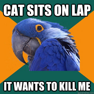 cat sits on lap it wants to kill me  Paranoid Parrot