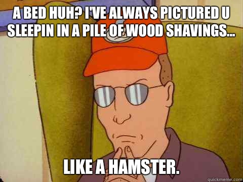 A bed huh? I've always pictured u sleepin in a pile of wood shavings... like a hamster.  Dale Gribble