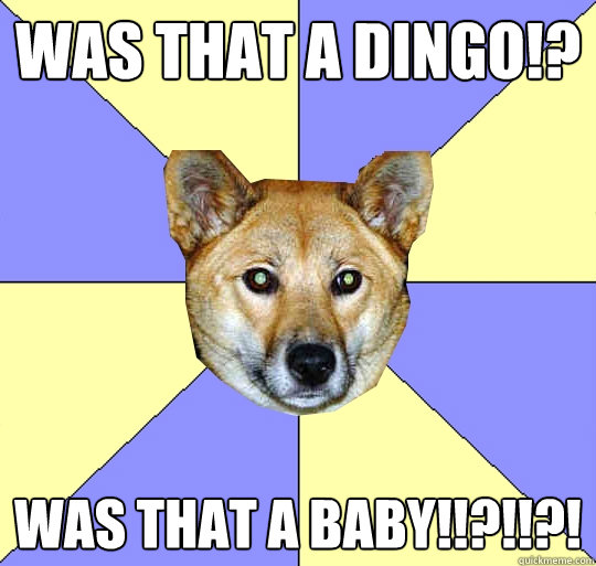 Was that a DINGO!? WAS THAT A BABY!!?!!?!  DAE Dingo