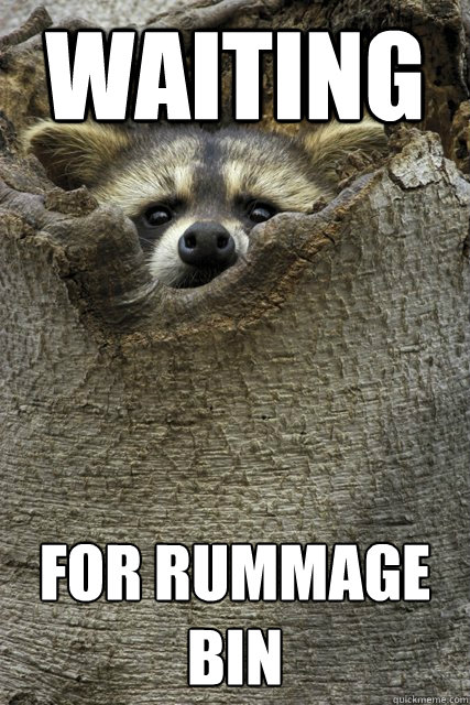 waiting for rummage bin - waiting for rummage bin  Stalker Raccoon