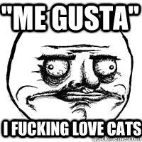 I FUCKING LOVE CATS 