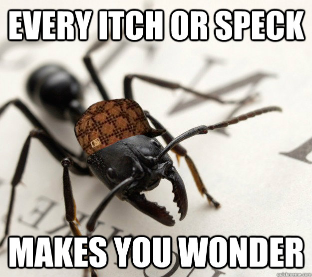 every itch or speck makes you wonder  Scumbag Ant