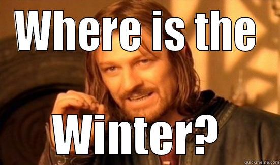 WHERE IS THE WINTER? Boromir