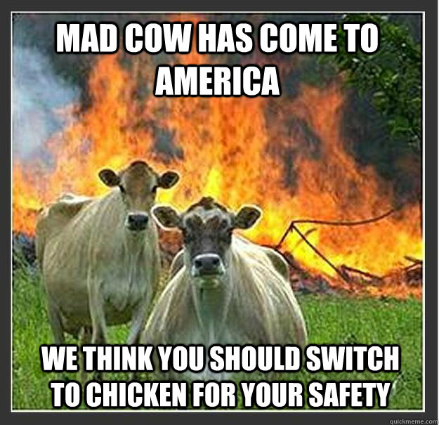 Mad Cow has come to America We think you should switch to chicken for your safety - Mad Cow has come to America We think you should switch to chicken for your safety  Evil cows