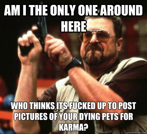 Am i the only one around here Who thinks its fucked up to post pictures of your dying pets for karma?  Am I The Only One Around Here