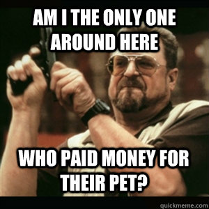 Am i the only one around here who paid money for their pet? - Am i the only one around here who paid money for their pet?  Misc