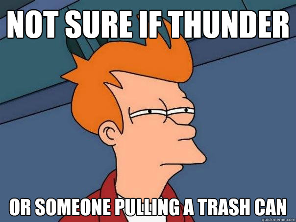 Not sure if thunder or someone pulling a trash can  Futurama Fry