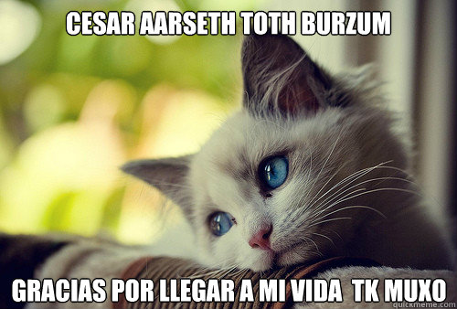 Cesar Aarseth toth burzum GRACIAS POR LLEGAR A MI VIDA  TK MUXO  First World Cat Problems