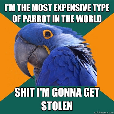 I'm the most expensive type of Parrot in the world Shit I'm gonna get stolen  Paranoid Parrot