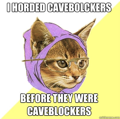 I horded Cavebolckers Before they were caveblockers - I horded Cavebolckers Before they were caveblockers  Hipster Kitty