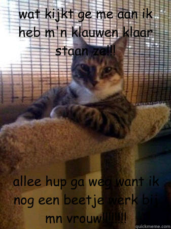 wat kijkt ge me aan ik heb m'n klauwen klaar staan ze!!!
 allee hup ga weg want ik nog een beetje werk bij mn vrouw!!!!!!!!  The Most Interesting Cat in the World