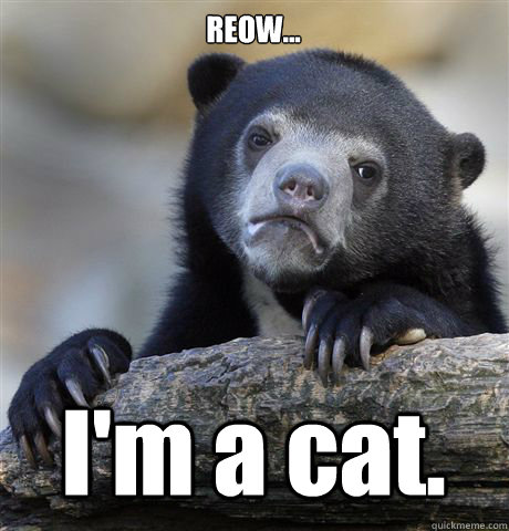 REOW... I'm a cat.  Confession Bear