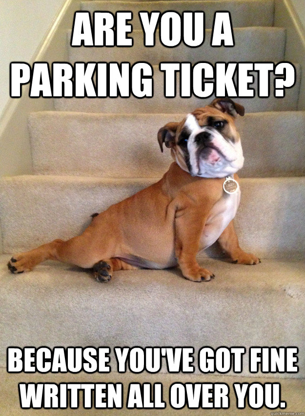 Are you a parking ticket?  Because you've got FINE written all over you.  Cheesy Canine