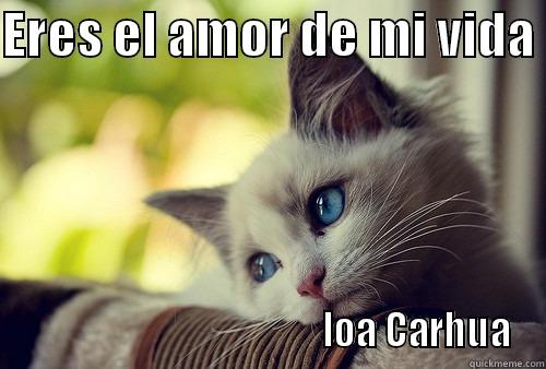 ERES EL AMOR DE MI VIDA                                           IOA CARHUA First World Problems Cat