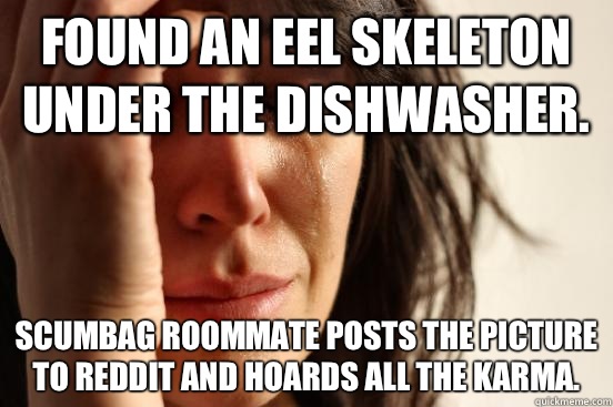 Found an eel skeleton under the dishwasher. Scumbag roommate posts the picture to reddit and hoards all the karma.  First World Problems