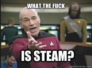 what the fuck is steam?  Annoyed Picard