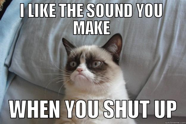 Grumpy shut up - I LIKE THE SOUND YOU MAKE    WHEN YOU SHUT UP  Grumpy Cat