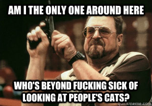 Am I the only one around here who's beyond fucking sick of looking at people's cats?  