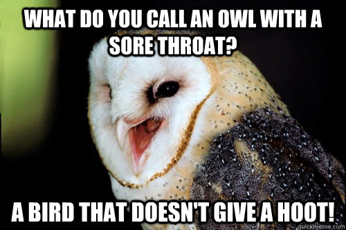What do you call an owl with a sore throat? A bird that doesn't give a hoot!  Bad Joke Owl