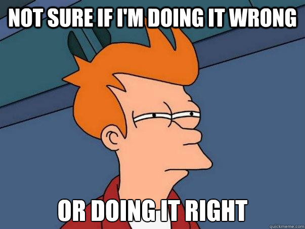 Not Sure if I'm Doing it Wrong Or doing it right  Not sure Fry