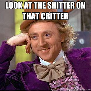 LOOK AT THE SHITTER ON THAT CRITTER   Creepy Wonka