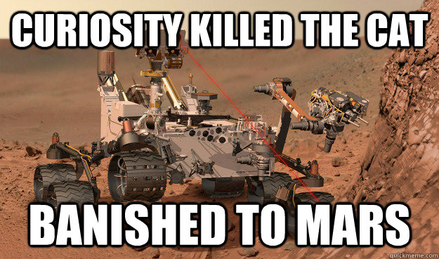 Curiosity killed the Cat Banished to Mars  Unimpressed Curiosity