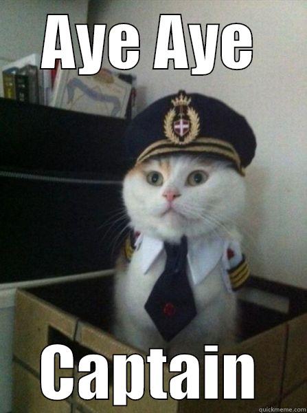 AYE AYE CAPTAIN Captain kitteh