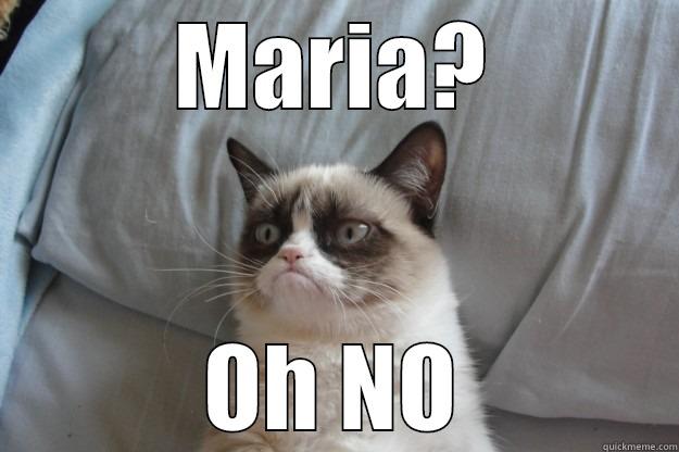 MARIA? OH NO Grumpy Cat