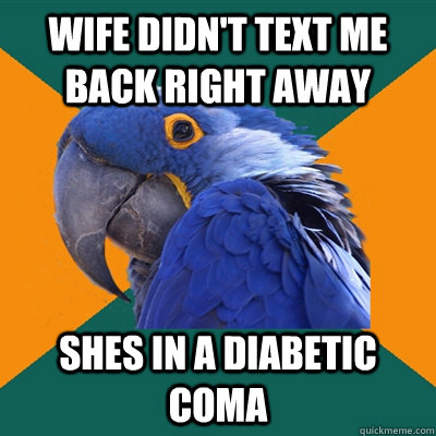 wife didn't text me back right away shes in a diabetic coma  Paranoid Parrot