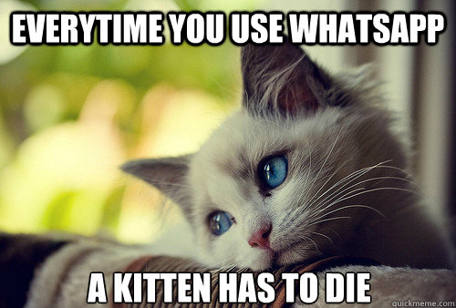 Everytime you use WhatsAPP A KITTEN HAS TO DIE  First World Cat Problems